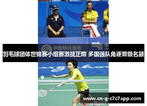 羽毛球团体世锦赛小组赛激战正酣 多国强队角逐晋级名额 羽毛球团体世锦赛小组赛激战正酣 多国强队角逐晋级名额
