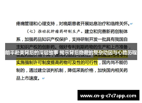 朗平赴美背后的深层故事 揭示背后隐藏的复杂动因与心路历程