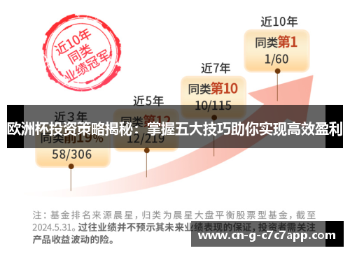 欧洲杯投资策略揭秘:掌握五大技巧助你实现高效盈利 欧洲杯投资策略揭秘:掌握五大技巧助你实现高效盈利